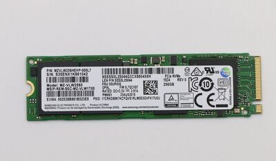 Lenovo - 256 GB M2 PCIe3 SSD